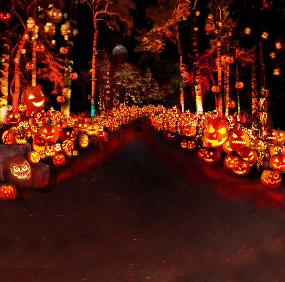 Daytime Experience at Jack-O-Lantern World in Lake Zurich